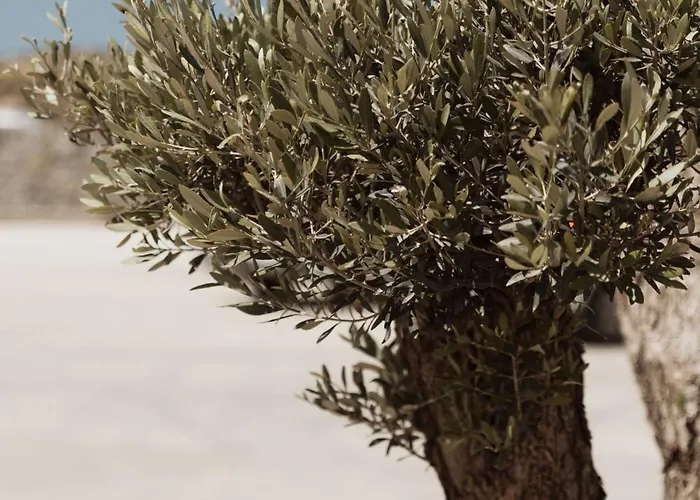 Laguna In Mazera Mykonos 4* Mykonos Town