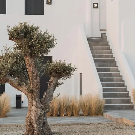 Hotel Laguna In Mazera Mykonos 4*