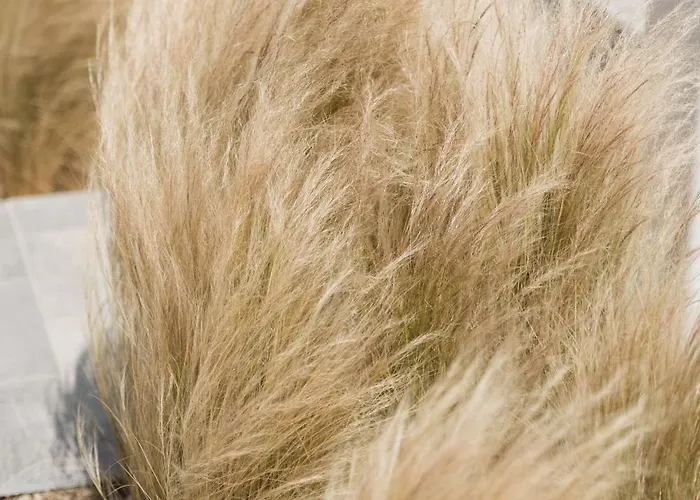 Laguna In Mazera Mykonos Hotel 4*