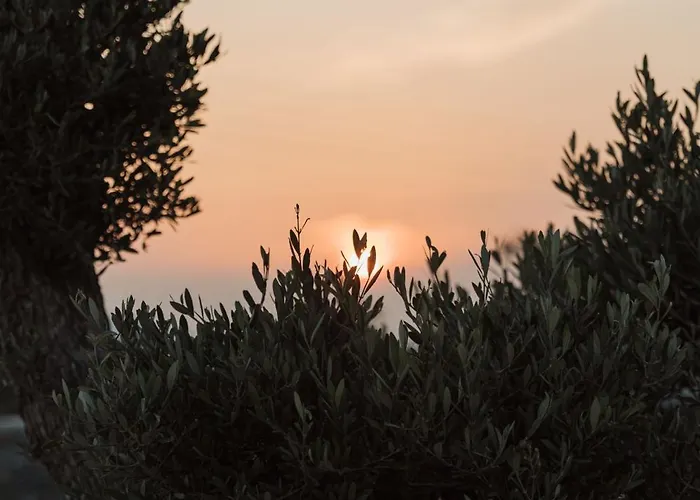 Laguna In Mazera Mykonos Hotel